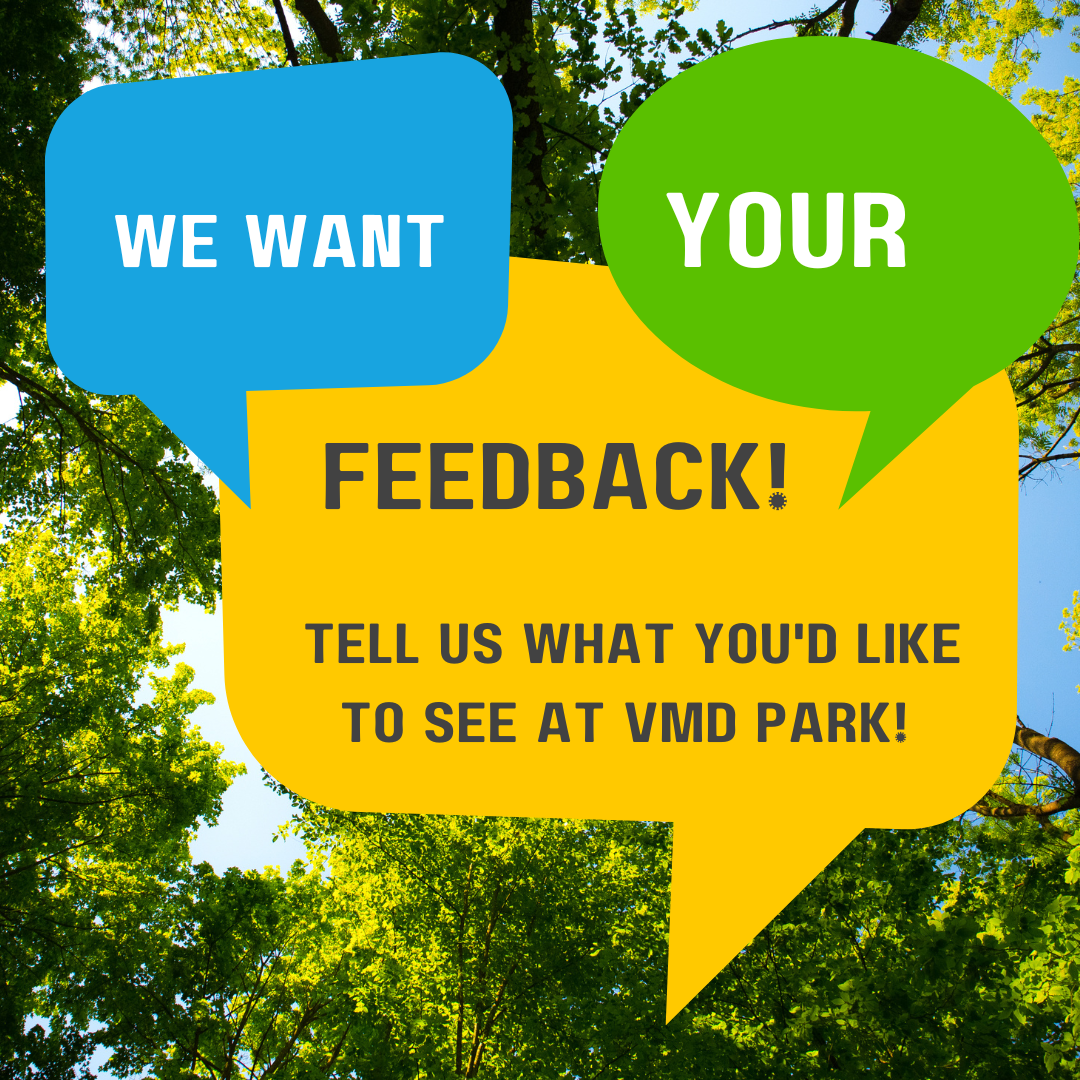 Survey: Victoria Manalo Draves Park Activations